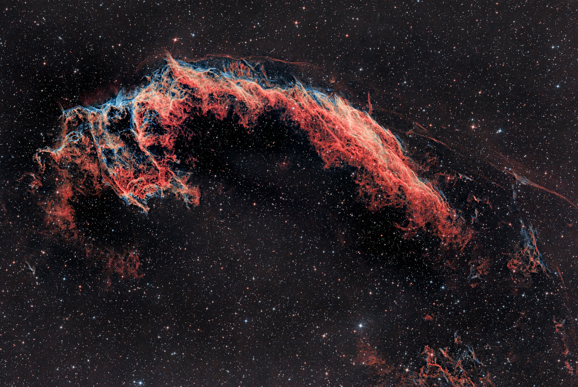 A bat can be seen in the easternmost part of the Cygnus Loop and is therefore also called the Bat Nebula NGC 6995.